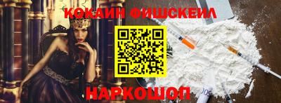 гашик Кузнецк
