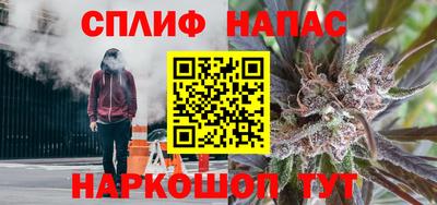 шишки Владикавказ