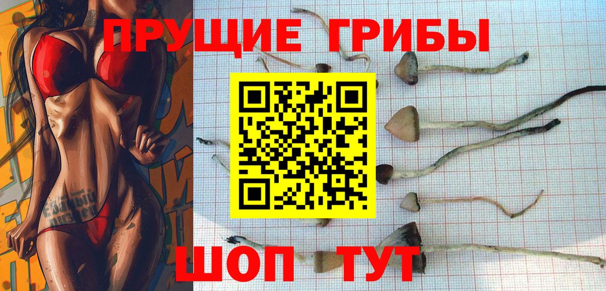 Галлюциногенные грибы Cubensis  Вход с VPN  Кизляр  Галлюциногенные грибы Magic Shrooms 