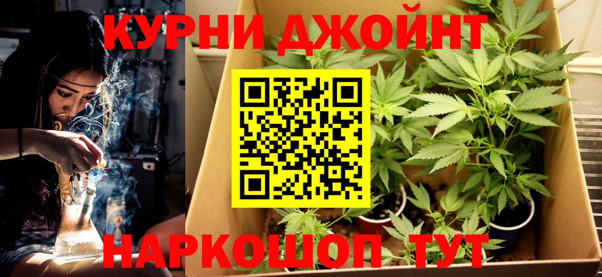Шишки марихуана индика  Бошки марихуана Bruce Banner  Бошки марихуана план  Кизляр  Вход с VPN 